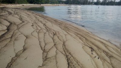 KOBAR Kepri : Pemkab Bintan Sikapi Limbah Minyak Pantai Berakit