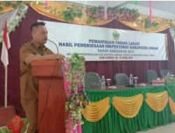Ket foto: Wakil Bupati Lingga saat menyampaikan sambutan pada kegiatan Inspektorat Lingga, (foto Istimewa).