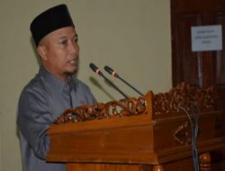 Anggota Komisi II DPRD Lingga, Salmizi, Jubir DPRD Lingga dalam penyampaian hasil LKPJ Bupati Lingga TA 2018. (Foto istimewa).