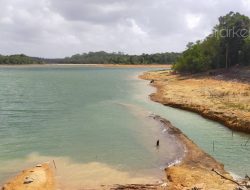 Kondisi Waduk Sungai Pulai, Kamis (20/2/2020). Waduk Sungai Pulai merupakan salah satu sumber air baku PDAM Tirta Kepri. (Foto: pijarkepri.com)