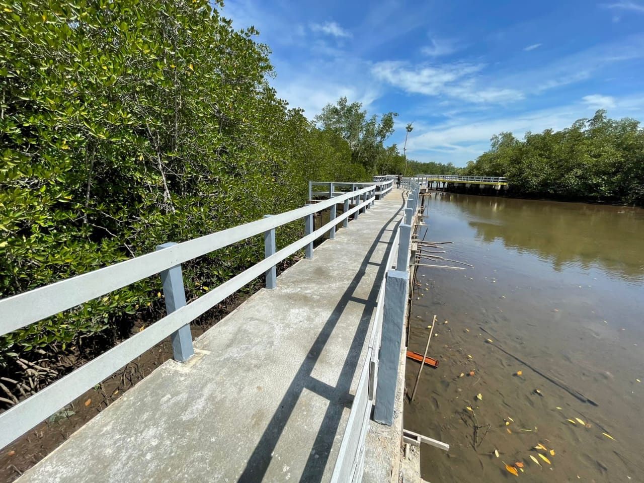 Jembatan lingkar di tepian wisata hutan mangrove Istana Kota Rebah, Tanjungpinang, Kepri, Jumat (11/3/2022). ( Foto: Aji Anugraha)