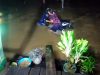 Banjir Landa Sejumlah Wilayah Natuna