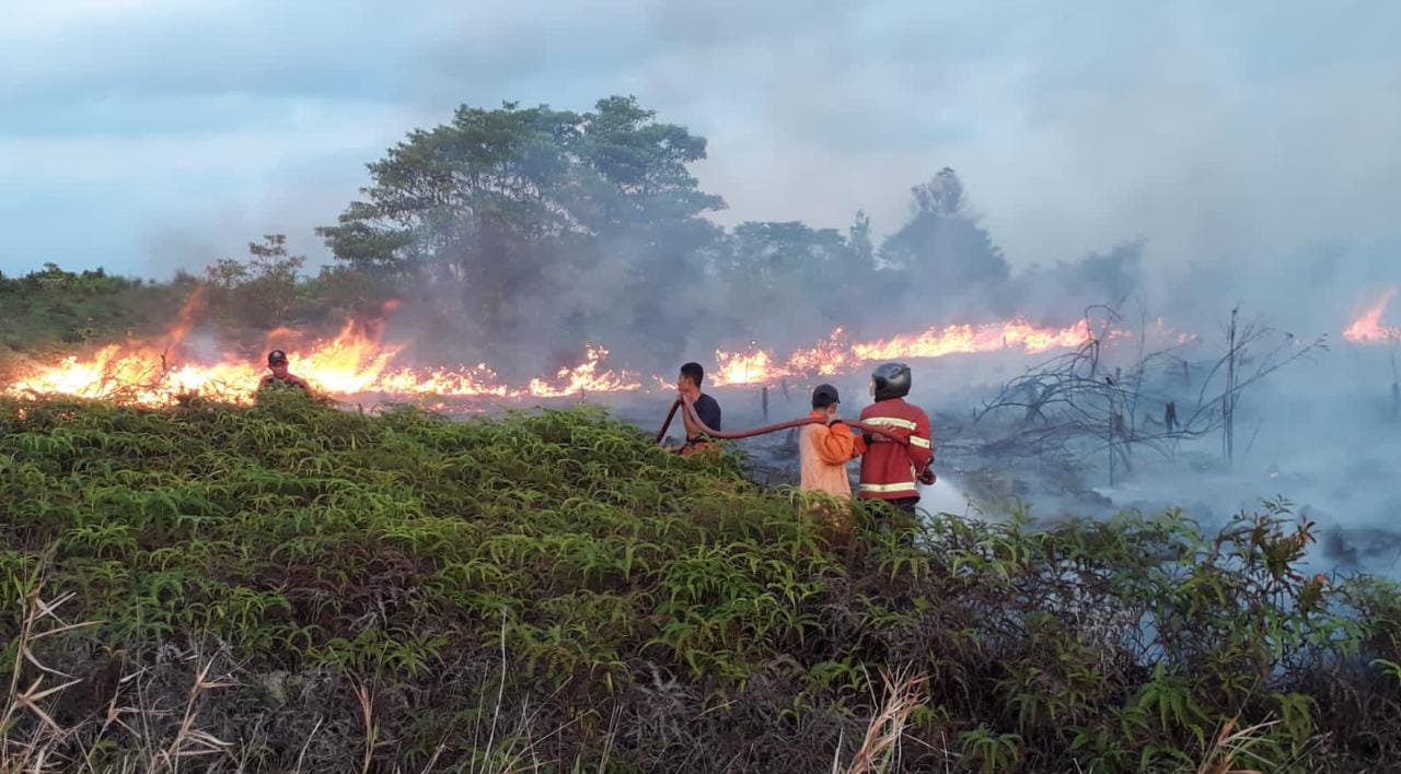 Petugas Pemadam Kebakaran saat memadamkan api, di sejumlah wilayah di Natuna, Kepri, Senin (16/1/2023) (Foto : Disdamkar Natuna)