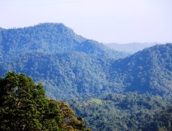 Tim Kementerian Bakal Lakukan Pengecekan Lokasi Hutan Ke Masyarakat Bintan