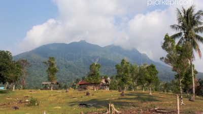 KPHP Natuna Imbau Masyarakat Untuk Tidak Garap Hutan Tanpa Izin