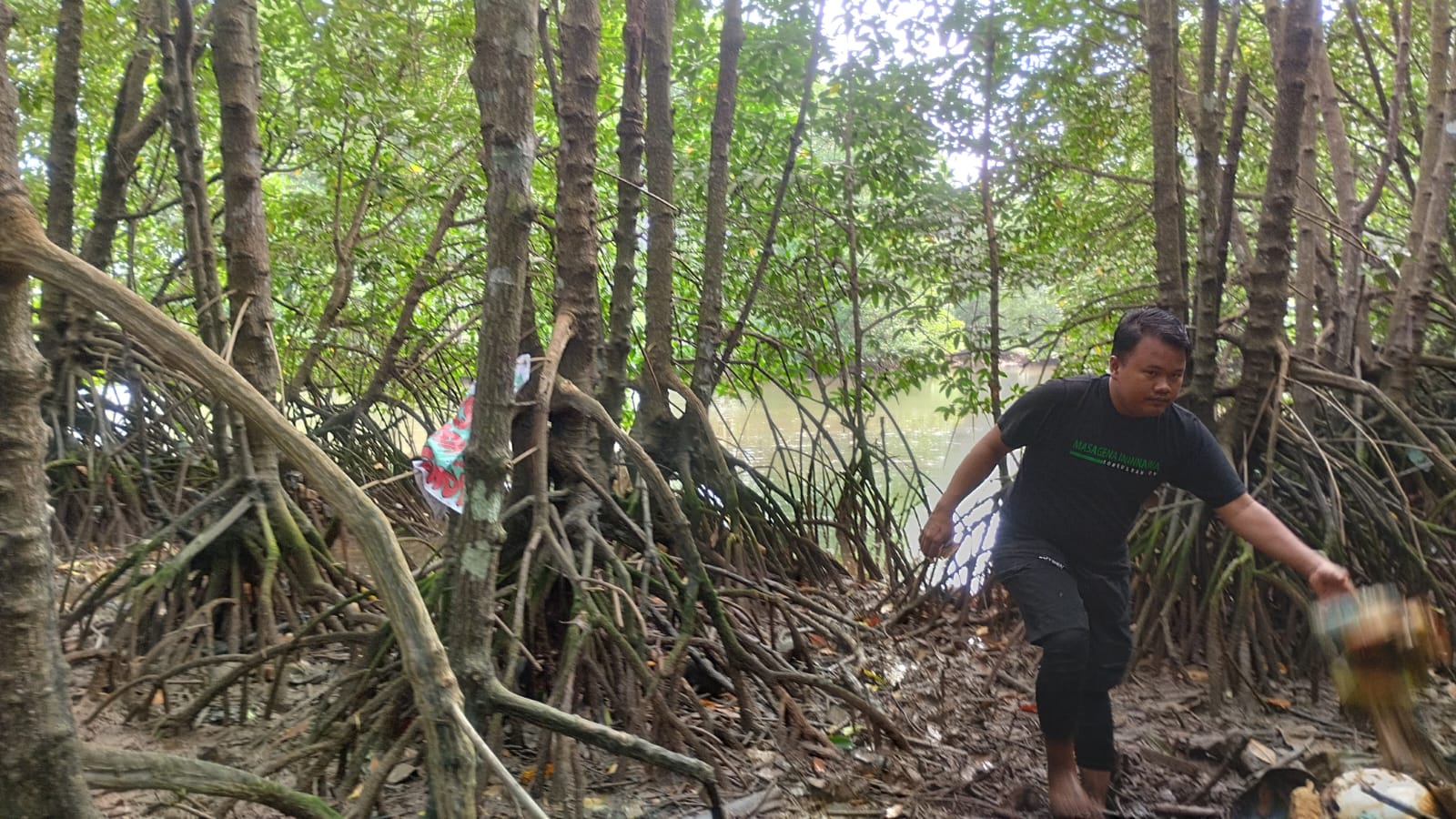 LSM ALIM bersama Bank Sampah Kembar Mandiri, DLH Tanjungpinang, SLB Negeri 1 Tanjungpinang, Kelurahan Melayu Kota Piring, RT/RW, Bank Sampah Maju Jaya, Proklim, dan Masagena Inannawa Konsultan, melaksanakan aksi bersih mangrove, di Kelurahan Melayu Kota Piring, sempena menyambut peringatan HPSN 2025, Sabtu (8/2/2025)