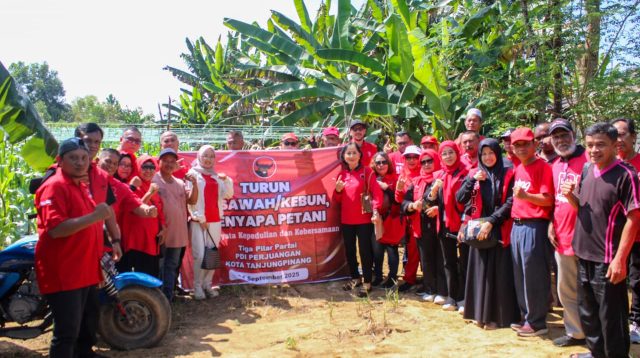 Pengurus PDI Perjuangan Kota Tanjungpinang bersama petani saat kegiatan “Turun ke Sawah/Kebun, Menyapa Petani” di Kelurahan Air Raja, Rabu (24/9/2025).