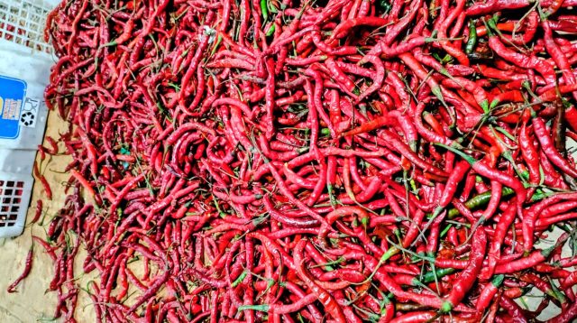 Cabe Merah di Pasar Bincen, Tanjungpinang Kepri, Rabu (15/10/2025)