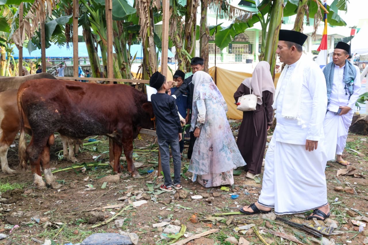 Gubernur Kepri Ansar Ahmad saat meninjau hewan kurban Idul Adha 1447 H/2026, di Kepri.