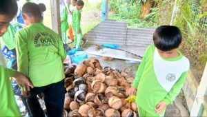 SDN 002 Seri Kuala Lobam, Kabupaten Bintan, Kepulauan Riau, menghadirkan inovasi BRIKOLA (Briket dari Limbah Kelapa) sebagai media pembelajaran yang mengajarkan siswa mengolah limbah tempurung dan sabut kelapa menjadi bahan bakar alternatif bernilai ekonomis. SDN 002 Seri Kuala Lobam, Kabupaten Bintan, Kepulauan Riau, menghadirkan inovasi BRIKOLA (Briket dari Limbah Kelapa) sebagai media pembelajaran yang mengajarkan siswa mengolah limbah tempurung dan sabut kelapa menjadi bahan bakar alternatif bernilai ekonomis.