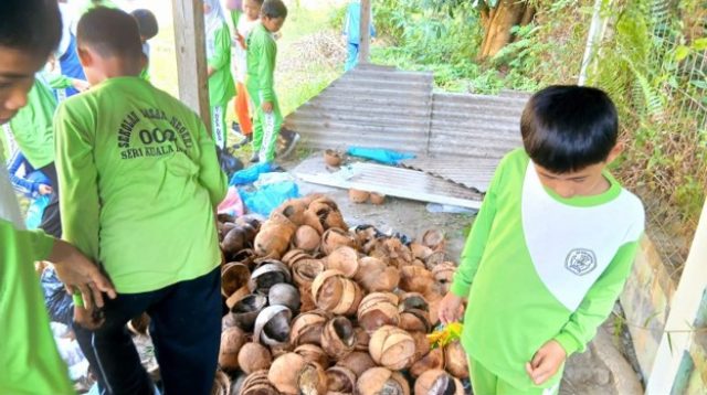 SDN 002 Seri Kuala Lobam, Kabupaten Bintan, Kepulauan Riau, menghadirkan inovasi BRIKOLA (Briket dari Limbah Kelapa) sebagai media pembelajaran yang mengajarkan siswa mengolah limbah tempurung dan sabut kelapa menjadi bahan bakar alternatif bernilai ekonomis.