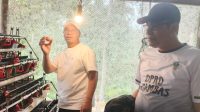 Adnan saat bersama Bupati Kepulauan Anambas Aneng meninjau peternakan tersebut, Selasa (11/8/2026) Adnan saat bersama Bupati Kepulauan Anambas Aneng meninjau peternakan tersebut, Selasa (11/8/2026)