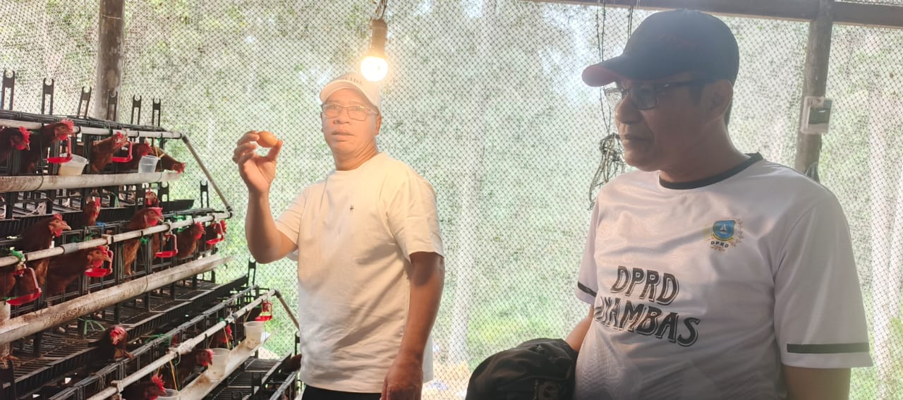 Adnan saat bersama Bupati Kepulauan Anambas Aneng meninjau peternakan tersebut, Selasa (11/8/2026)