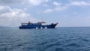 Kapal penampung ikan hidup Mitra Dodo, berlayar di laut Anambas, Kamis (24/9/2026) (Foto: Fendi) Kapal penampung ikan hidup Mitra Dodo, berlayar di laut Anambas, Kamis (24/9/2026) (Foto: Fendi)