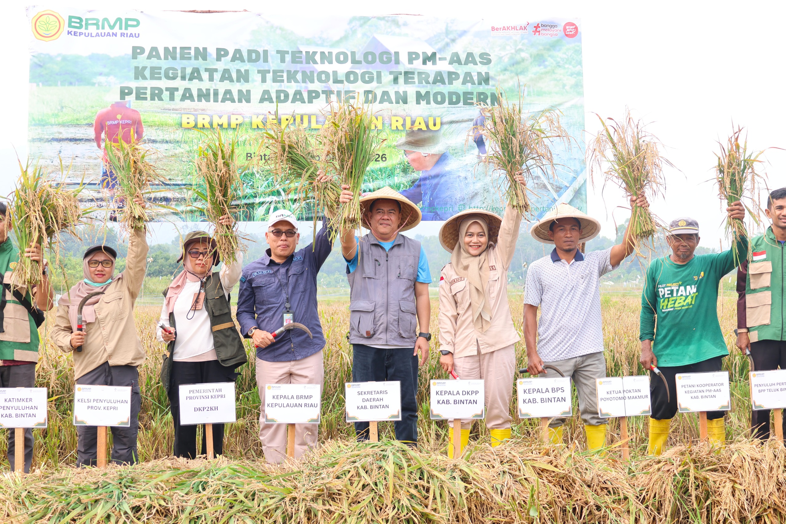 panen padi demplot Pertanian Modern–Advanced Agricultural System (PM-AAS) yang dihadiri Sekretaris Daerah Kabupaten Bintan, Ronny Kartika, bersama jajaran terkait, Selasa (15/9).