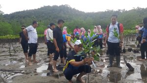 Bupati Kepulauan Anambas Aneng bersama Dewan Kerajinan Nasional Daerah (Dekranasda) menanam 150 bibit mangrove di Pantai Senggalong, Desa Temburun, Kecamatan Siantan Timur, Kamis (1/10/2026).