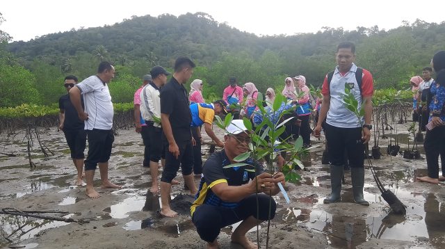 Bupati Kepulauan Anambas Aneng bersama Dewan Kerajinan Nasional Daerah (Dekranasda) menanam 150 bibit mangrove di Pantai Senggalong, Desa Temburun, Kecamatan Siantan Timur, Kamis (1/10/2026).
