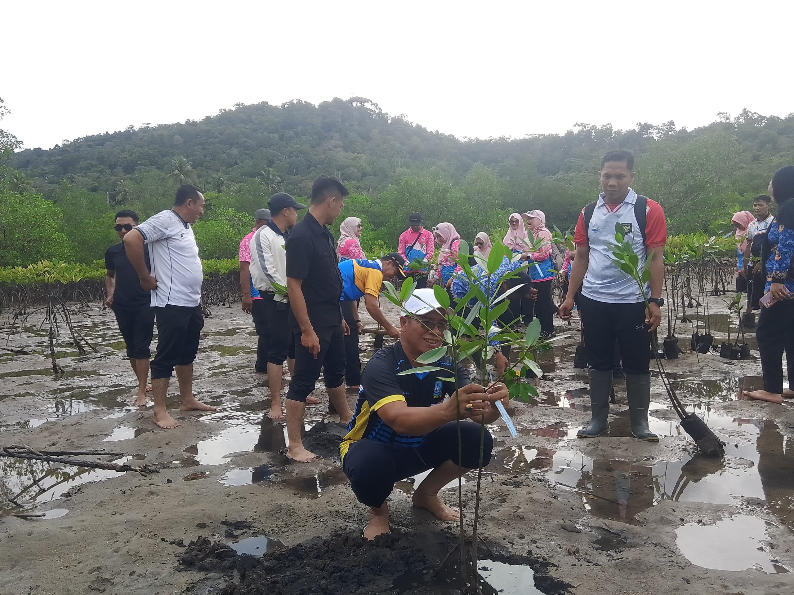 Bupati Kepulauan Anambas Aneng bersama Dewan Kerajinan Nasional Daerah (Dekranasda) menanam 150 bibit mangrove di Pantai Senggalong, Desa Temburun, Kecamatan Siantan Timur, Kamis (1/10/2026).