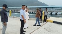 Bupati Kepulauan Anambas Aneng meninjau kondisi Pelabuhan Roro Kuala Maras, Kecamatan Jemaja Timur, Sabtu (24/10/2026), menyusul laporan keretakan pada sejumlah bagian fasilitas pelabuhan tersebut. Bupati Kepulauan Anambas Aneng meninjau kondisi Pelabuhan Roro Kuala Maras, Kecamatan Jemaja Timur, Sabtu (24/10/2026), menyusul laporan keretakan pada sejumlah bagian fasilitas pelabuhan tersebut.